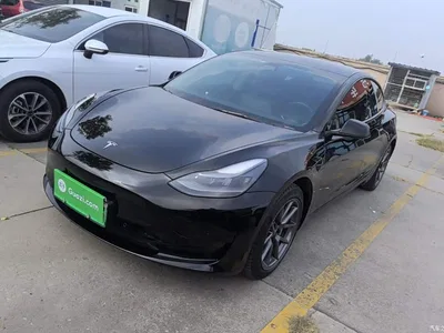 2021 Tesla Model 3 Standard Range Rear-Wheel Drive Upgrade, фото 2, лот 11189539