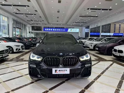 2021 BMW X6 Facelift xDrive40i Premium M Sport Package, фото 3, лот 10469307