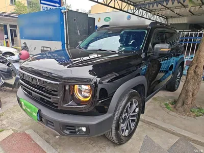2024 Haval Big Dog 1.5T DCT Border Collie Edition, фото 2, лот 10361292