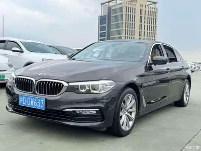 2018 BMW 5 Series 528Li Launch Special Edition, фото 1, лот 10895136