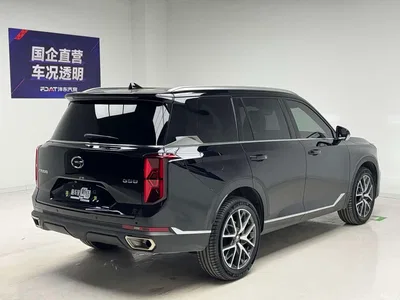 2024 GAC Trumpchi Trumpchi GS8 Navigator Series 2.0TGDI 2WD Luxury Smart Connect Edition, фото 4, лот 10416390