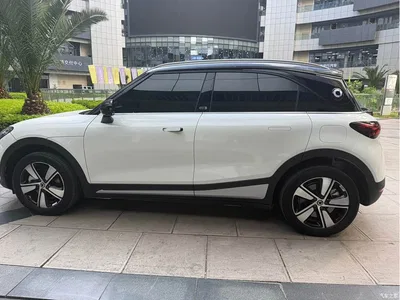 2024 smart Elf #1 Agile Standard Edition, фото 3, лот 10343093