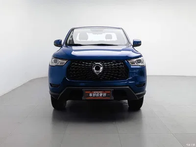 2021 Great Wall Pao 2.0T Commercial Edition Automatic Diesel 2WD Elite Long Box GW4D20M, фото 3, лот 10364270