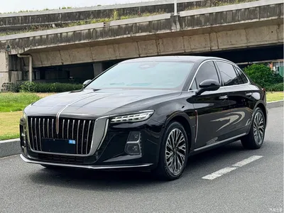 2024 Hongqi H5 2.0T Automatic Smart Connect Flag Smooth Edition, фото 1, лот 11538116