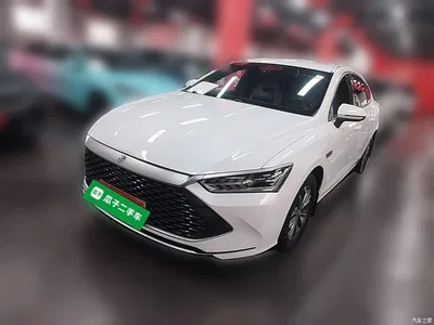 2023 BYD Qin PLUS Champion Edition DM-i 55KM Leading, фото 3, лот 11459958