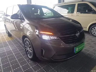 2021 Buick GL8 Land Business Class 652T Luxury, фото 4, лот 10675560