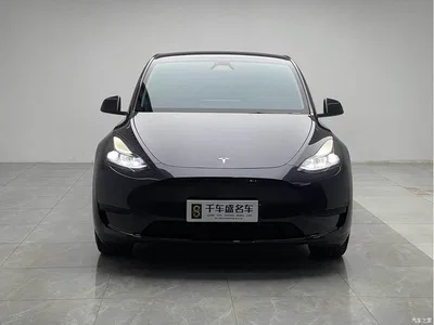 2024 Tesla Model Y Rear-Wheel Drive Version, фото 2, лот 10666771