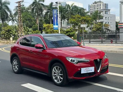 2017 Alfa Romeo Stelvio 2.0T 200HP Luxury Edition, фото 3, лот 10239871