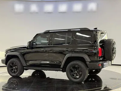2021 Tank 300 Off-road Version 2.0T Conqueror, фото 4, лот 10345632