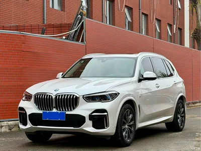 2022 BMW X5 Facelift xDrive 30Li Premium M Sport Package, фото 1, лот 10462895