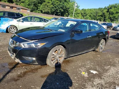 2016 NISSAN MAXIMA, фото 1, лот 10714830