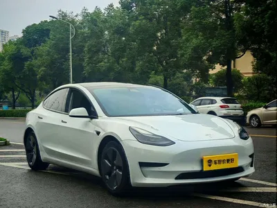 2021 Tesla Model 3 Standard Range Rear-Wheel Drive Upgrade, фото 3, лот 11249172