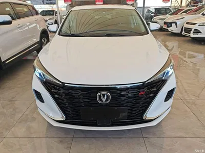 2021 Changan Eado PLUS Blue Whale NE 1.4T GDI DCT Premium, фото 3, лот 10254366