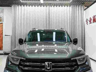 2024 Tank 400 New Energy Hi4-T Off-Road Edition, фото 2, лот 10345193