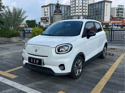 2021 Leapmotor T03 400 Micro Sugar Edition, фото 1, лот 11095679