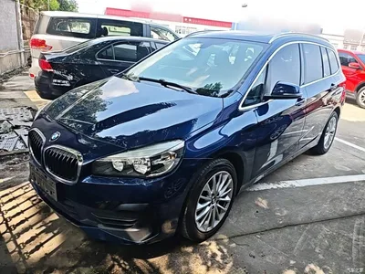 2019 BMW 2 Series Gran Tourer 220i Leading, фото 2, лот 10475045