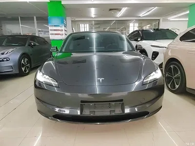 2023 Tesla Model 3 Rear-Wheel Drive, фото 3, лот 11408479