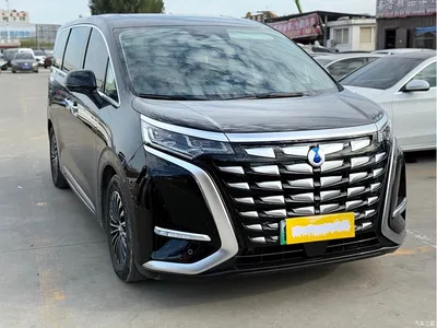 2024 Denza D9 DM-i 1050 Premium, фото 3, лот 11194131