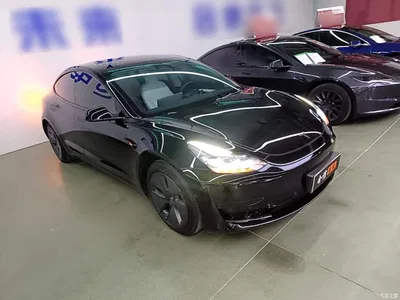 2021 Tesla Model 3 Standard Range Rear-Wheel Drive Upgrade, фото 4, лот 10370138