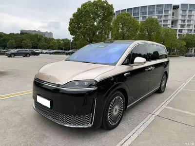 2026 Zhijie Zunjie MPV Model High-End Edition, фото 1, лот 11144480