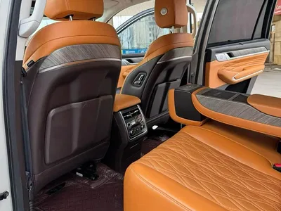 2022 Tank 500 3.0T Business Edition Dengfeng 5-Seater, фото 4, лот 10450355