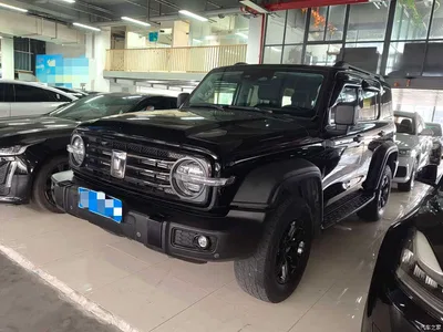 2021 Tank 300 Off-road Edition 2.0T Challenger, фото 1, лот 10344949