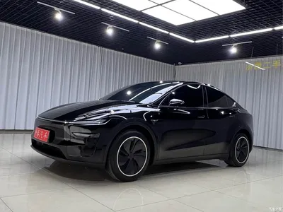 2025 Tesla Model Y Model Rear-Wheel Drive Launch Edition, фото 1, лот 10765872