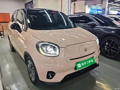 2021 Leapmotor T03 400 Micro Sugar Edition, фото 4, лот 10441682