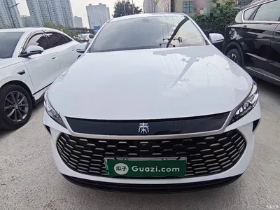 2025 BYD Qin PLUS DM-i Smart Drive 55KM Leader, фото 3, лот 11017922