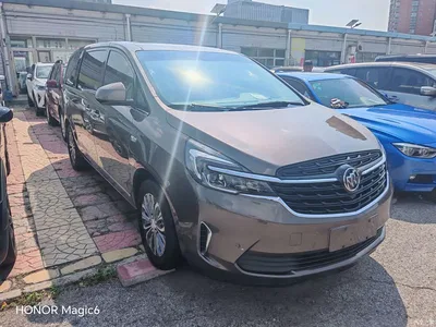 2020 Buick GL8 Land Business Class 652T Premium, фото 3, лот 10253550