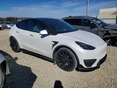 2023 TESLA MODEL Y, фото 4, лот 10857016
