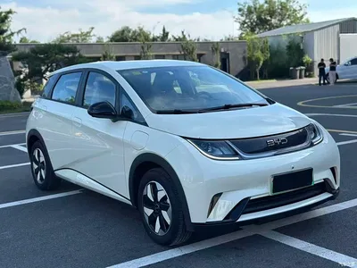 2025 BYD Dolphin 420km Freedom Edition, фото 3, лот 10252468