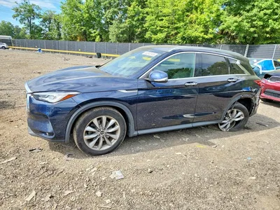 2019 INFINITI QX50 LUXE, фото 1, лот 10884490