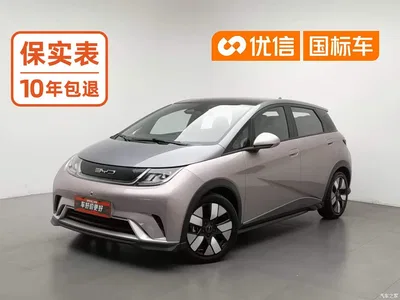 2023 Byd Dolphin, фото 1, лот 10245356