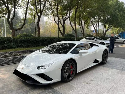2019 Lamborghini Huracán EVO, фото 1, лот 10838316