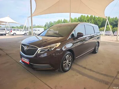 2018 Buick GL8 ES 28T Flagship Type China VI, фото 1, лот 10257159