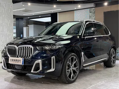 2023 BMW X5 xDrive 30Li Premium M Sport Package, фото 1, лот 10376208