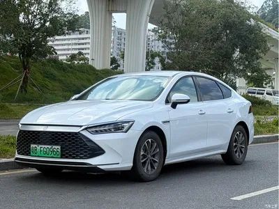 2024 BYD Qin PLUS Glory Edition DM-i 55KM Leading, фото 1, лот 11215199