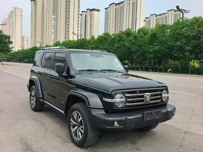 2021 Tank 300 Urban Edition 2.0T Stylish, фото 4, лот 10345441
