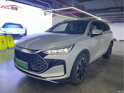 2024 BYD Tang New Energy Model DM-i Glory Edition 112KM Flagship Type, фото 1, лот 10272981