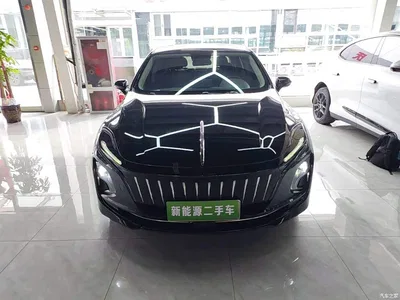 2023 Hongqi E-QM5 Facelift Basic Travel Edition, фото 3, лот 11141609