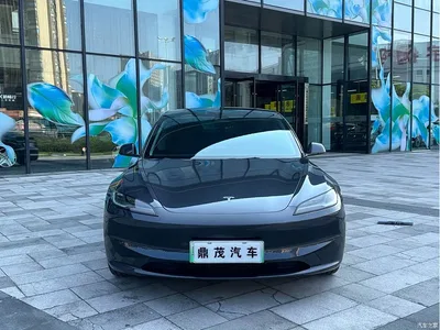 2023 Tesla Model 3 Rear-Wheel Drive, фото 2, лот 10346667