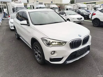 2019 BMW X1 sDrive18Li Premium Model, фото 4, лот 10467410