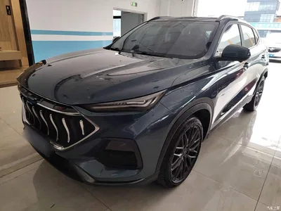 2021 Changan Oshan Changan Oushang X5 1.5T DCT Flagship, фото 1, лот 11162529