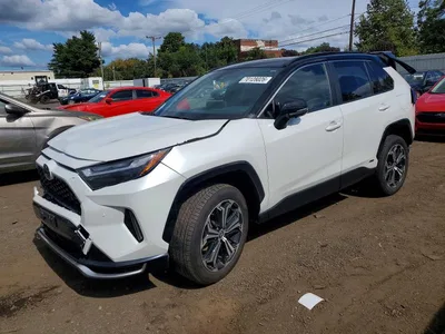 2025 TOYOTA RAV4 XSE, фото 1, лот 11588246