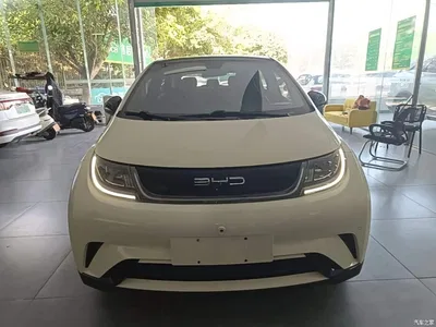 2023 BYD Dolphin 420km Fashion Edition, фото 3, лот 10260233