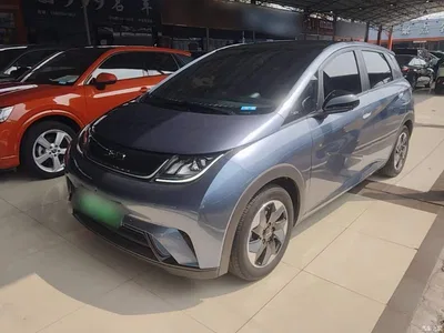 2024 BYD Dolphin Glory Edition 420km Fashion Edition, фото 2, лот 11138116