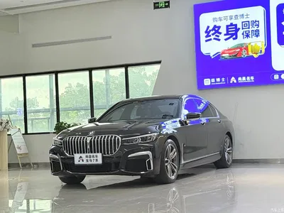2019 BMW 7 Series Facelift 730Li M Sport Package, фото 1, лот 10447844