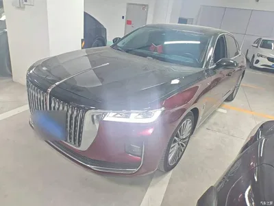 2020 Hongqi H9 2.0T Smart Connection Qi Xiang Edition, фото 1, лот 10416770
