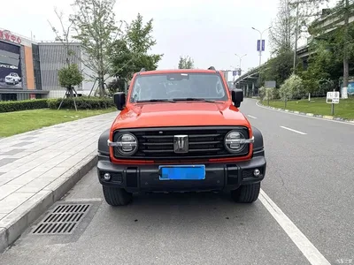 2021 Tank 300 Off-road Version 2.0T Conqueror, фото 2, лот 10450270